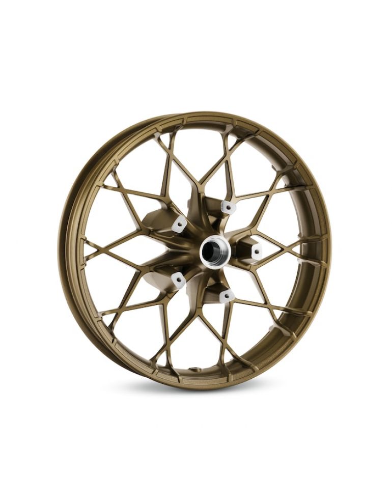 H-D Prodigy 19 in. Front Wheel