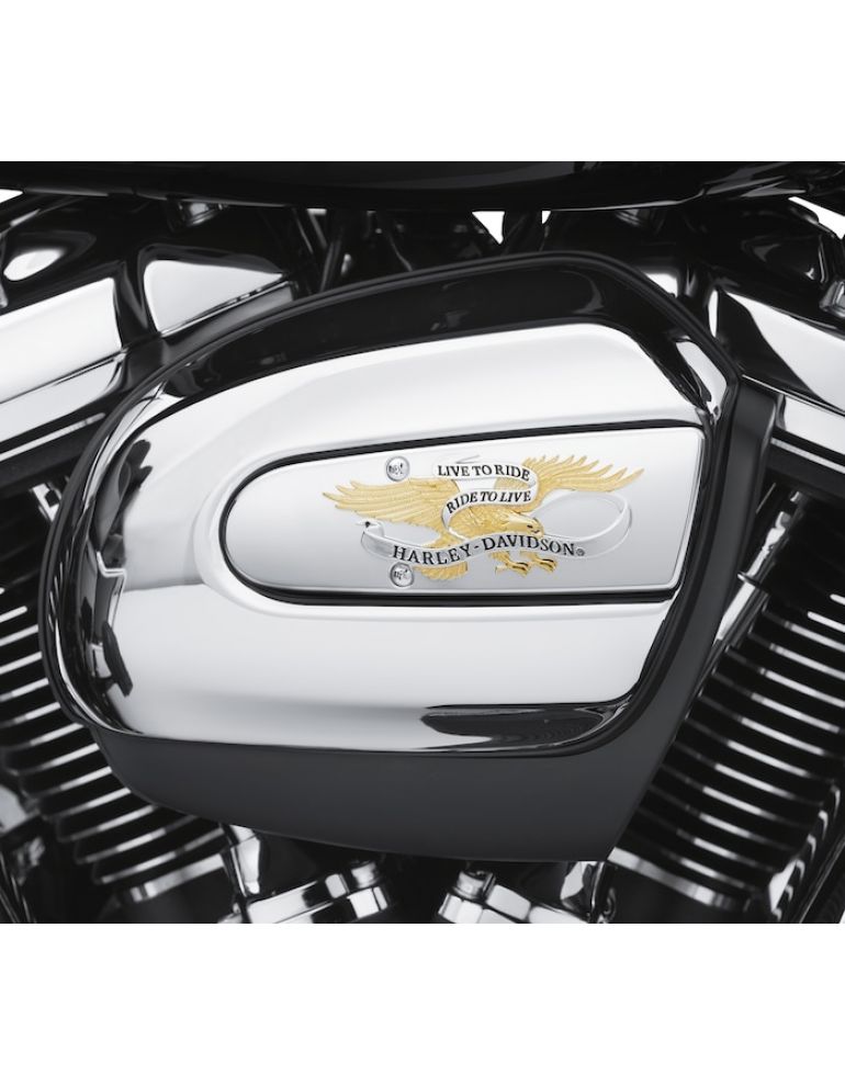 Live To Ride Air Cleaner Trim