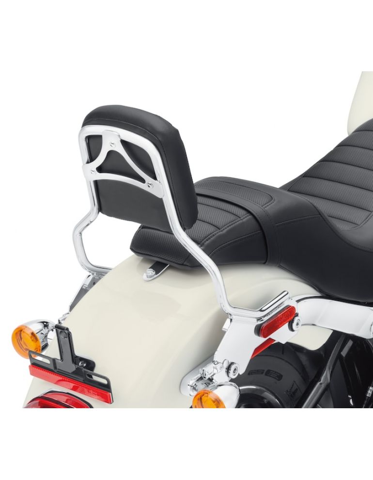 HoldFast Sissy Bar Upright - Standard Height - Chrome