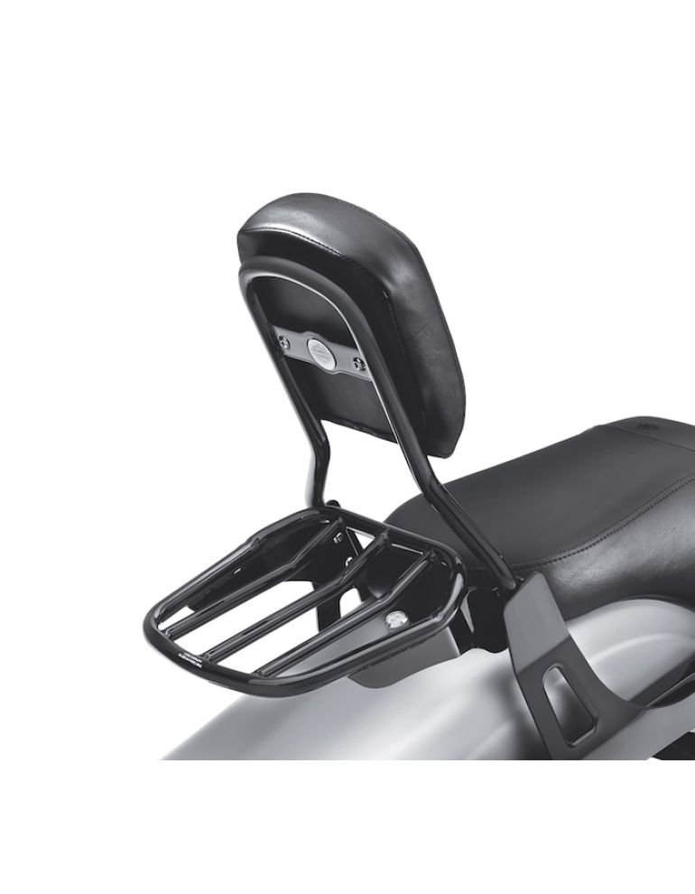 Standard Mini-Medallion Style Sissy Bar Upright