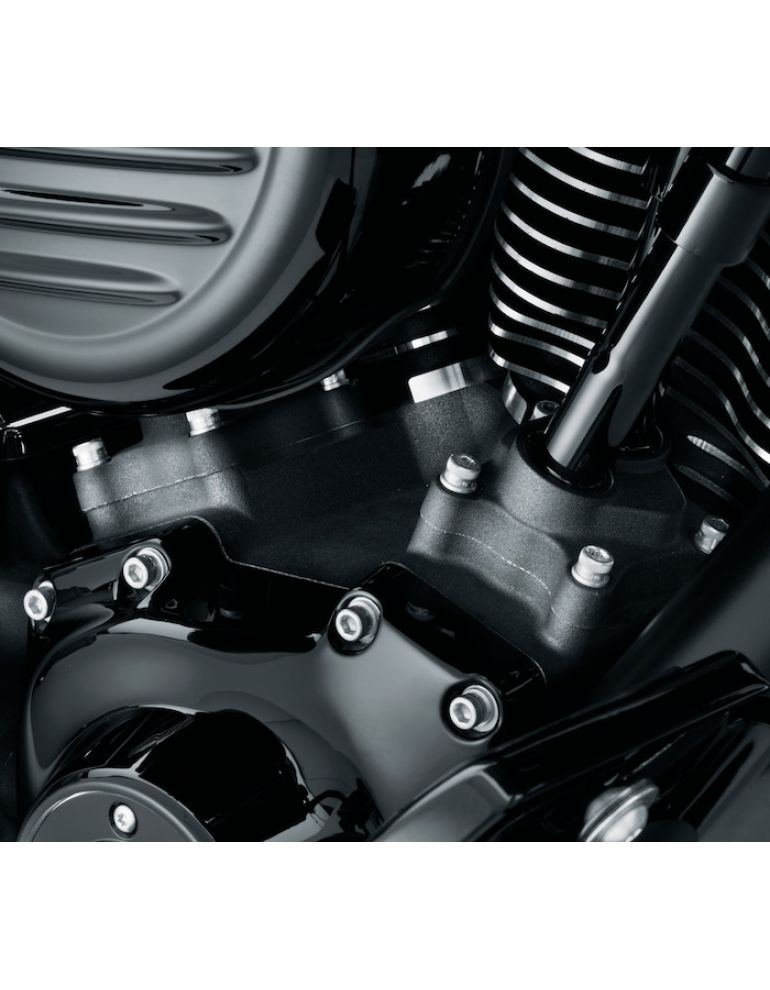 Lower Tappet Covers